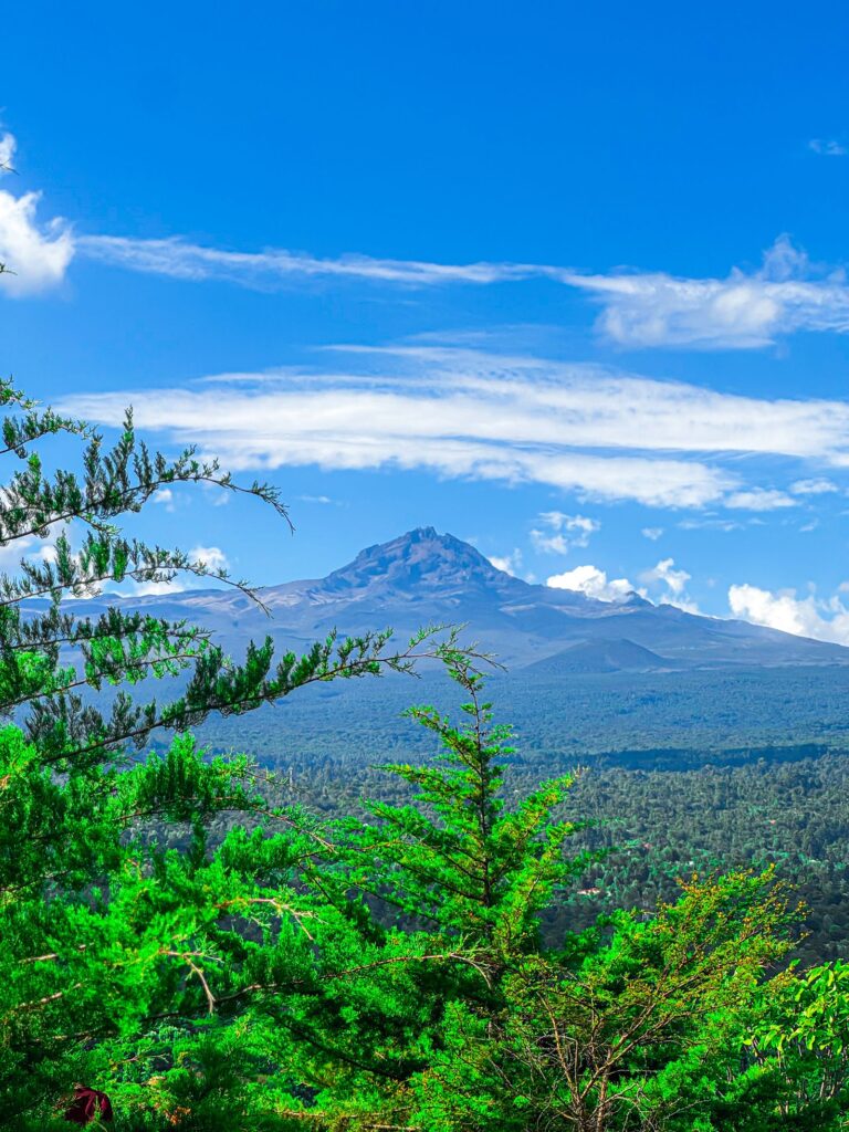 Kilimanjaro & Northern Highlands