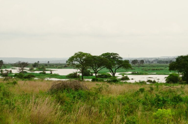 Murchison Falls National Park