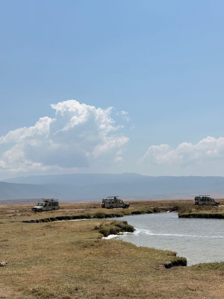 Ngorongoro Crater