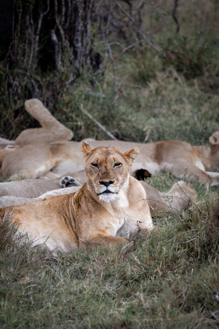 Serengeti National Park